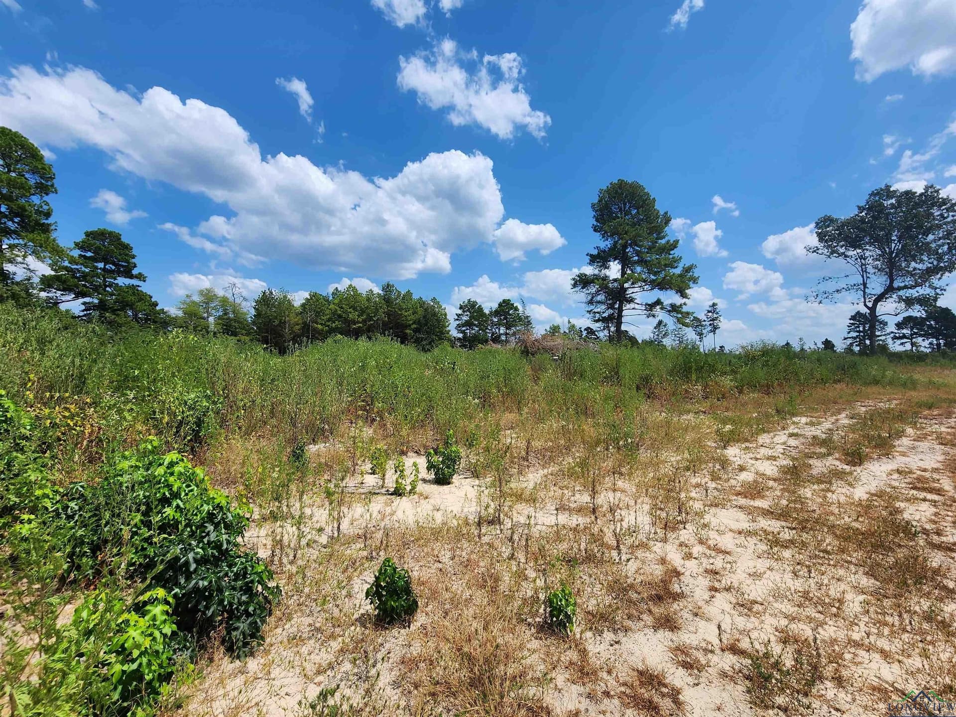 Tract 1 Tbd County Road 1762