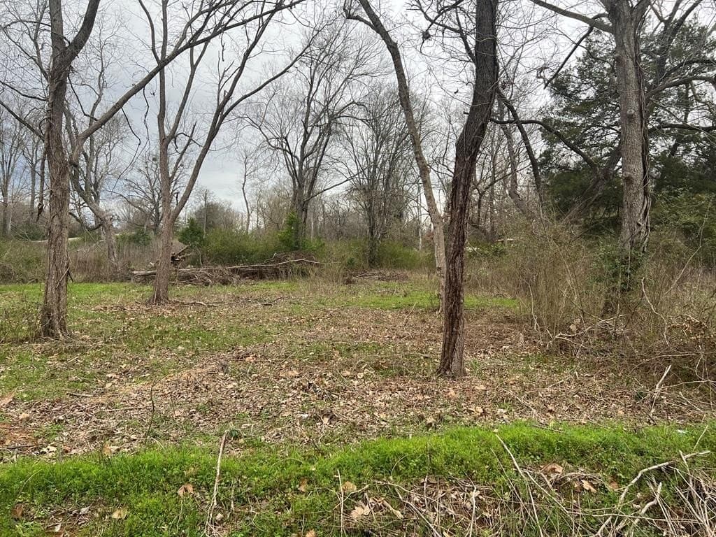 TBD Grove St