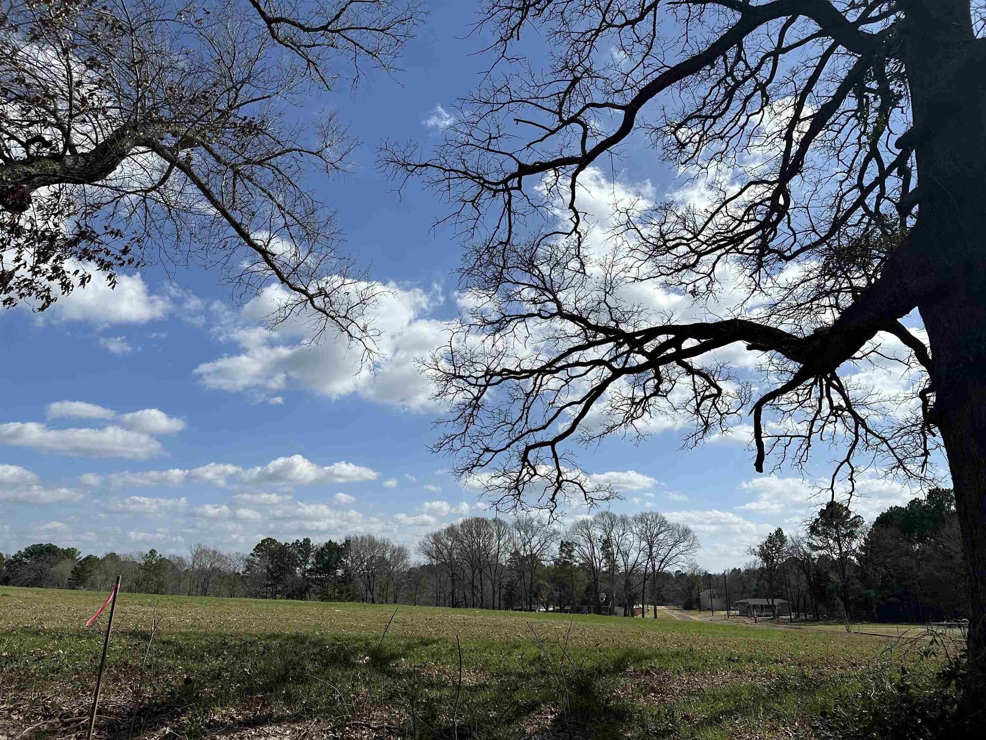 TBD LOT 2 COUNTY ROAD 401