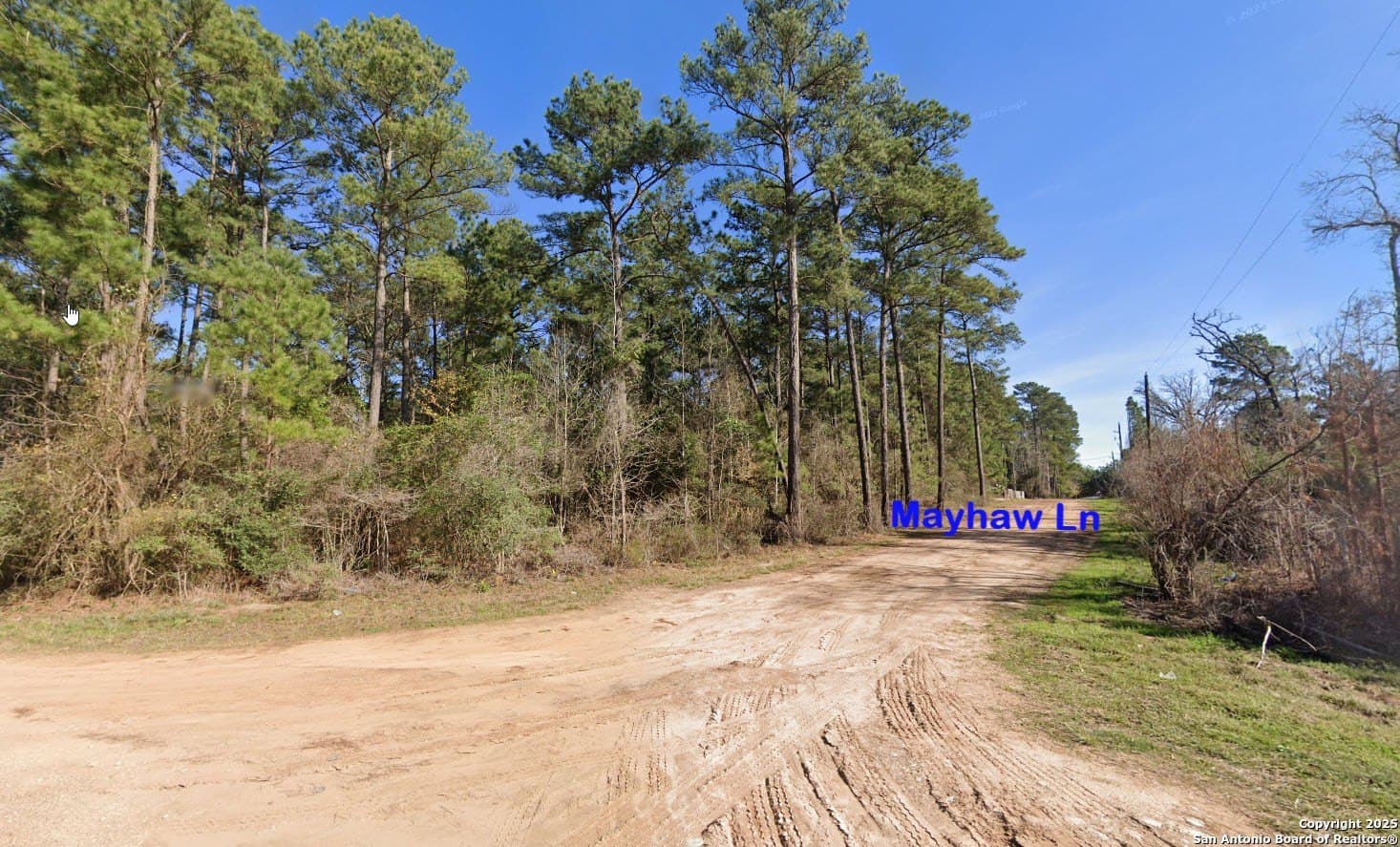 Mayhaw Ln lot: 16