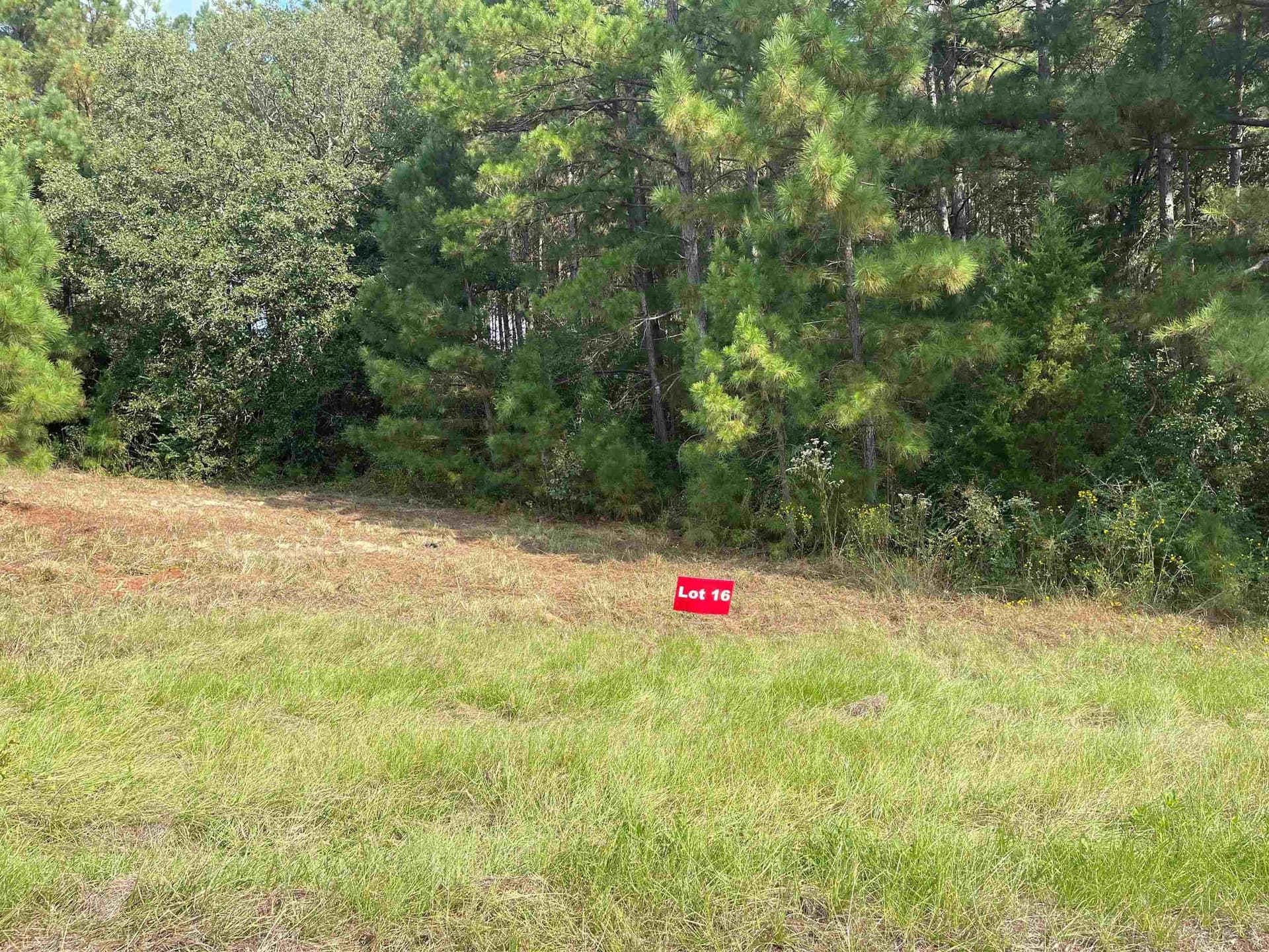 Tbd Lot 16 CR 2204 D & FM 1797