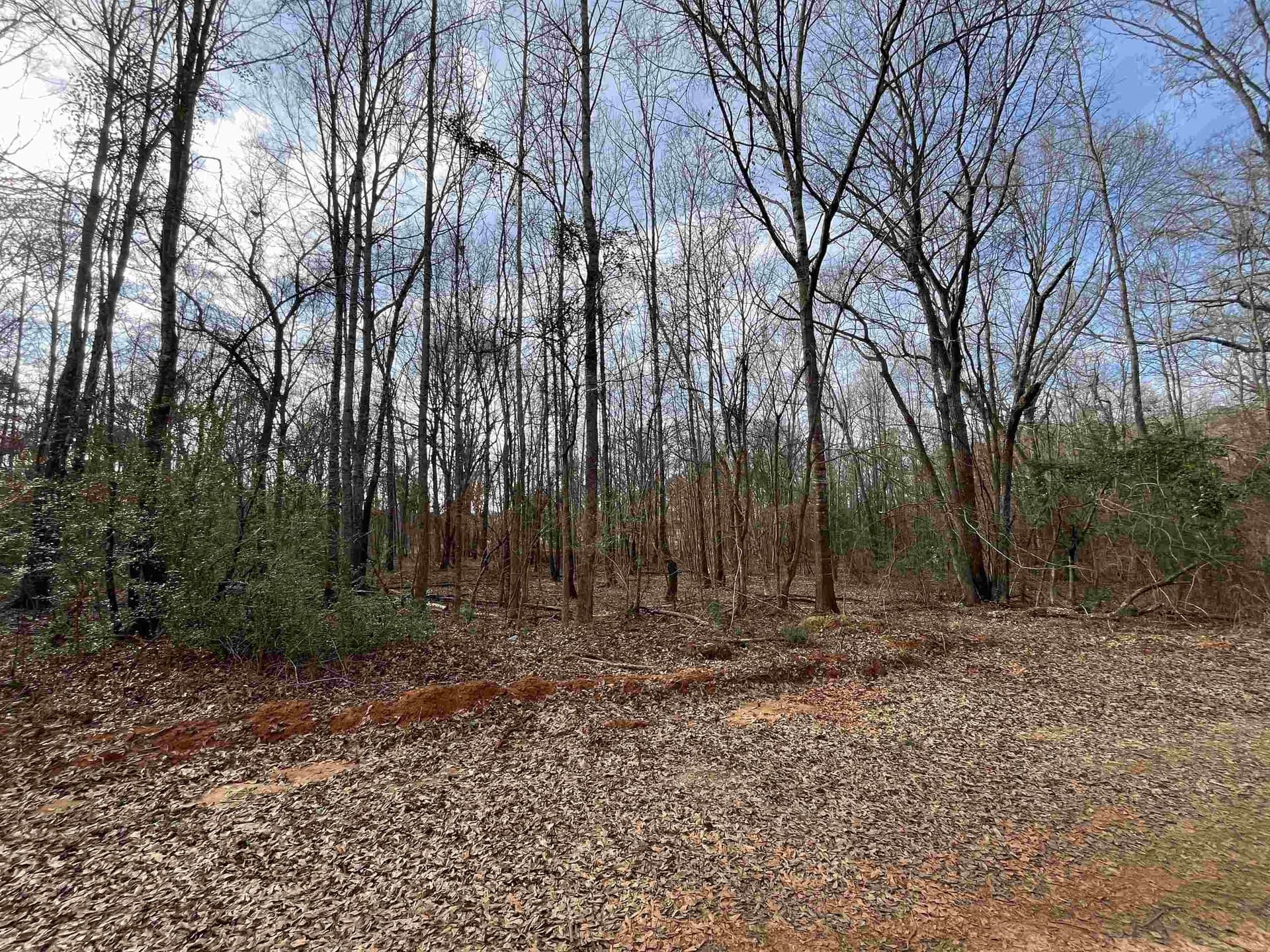 Tract 6 Venus Rd