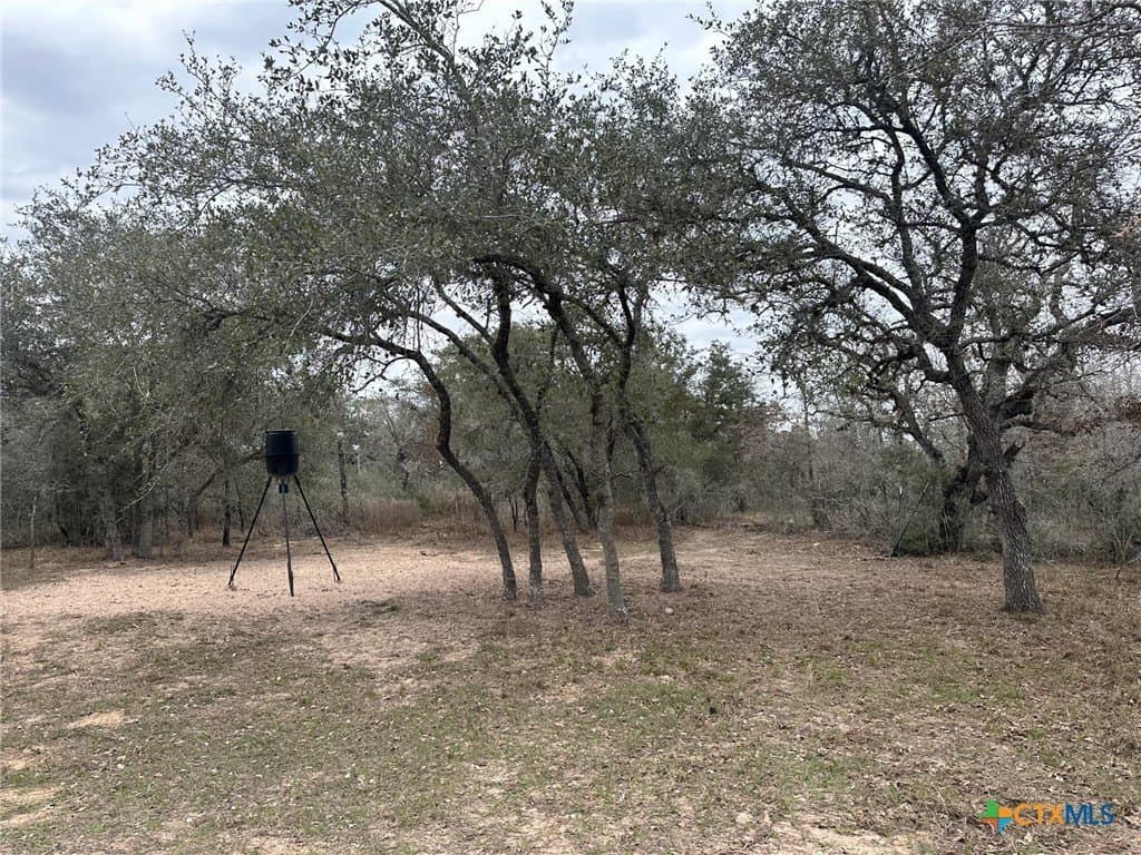 Dentler Tract 2 Road