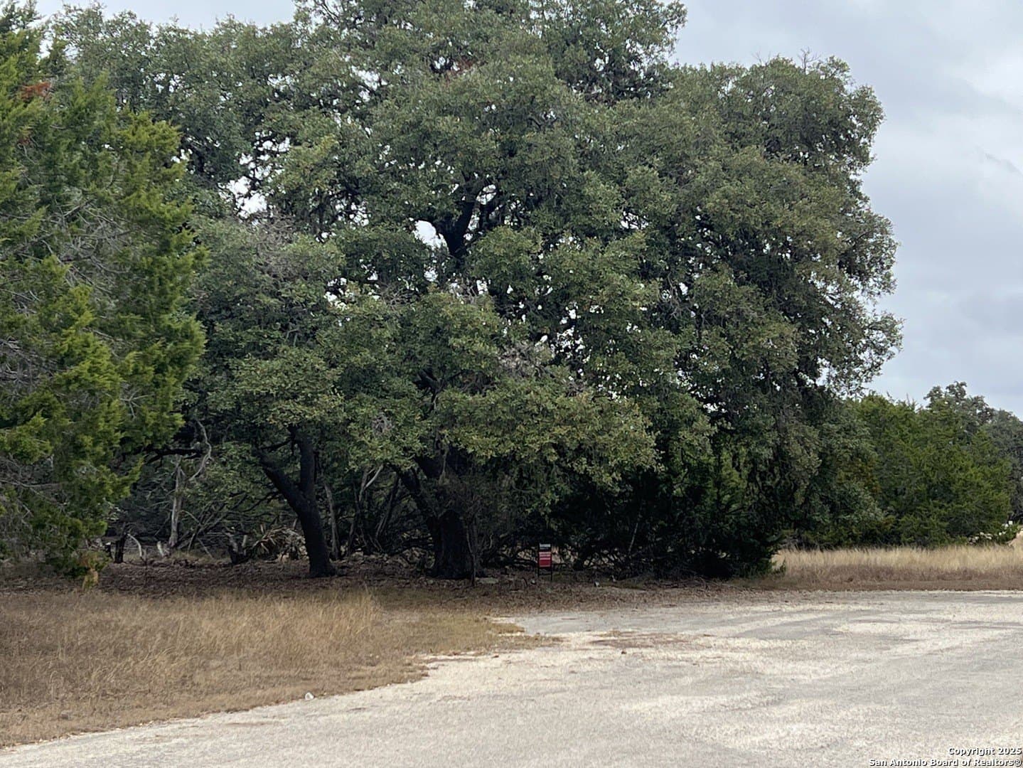 HEINEN CIRCLE lot: 24