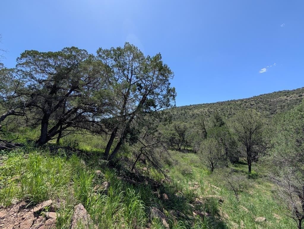 312 Limpia Canyon Trail