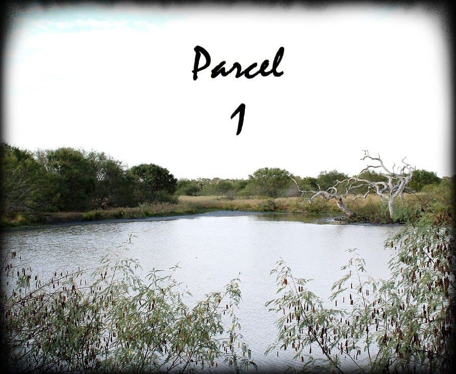 Parcel 1 Lobo Lane