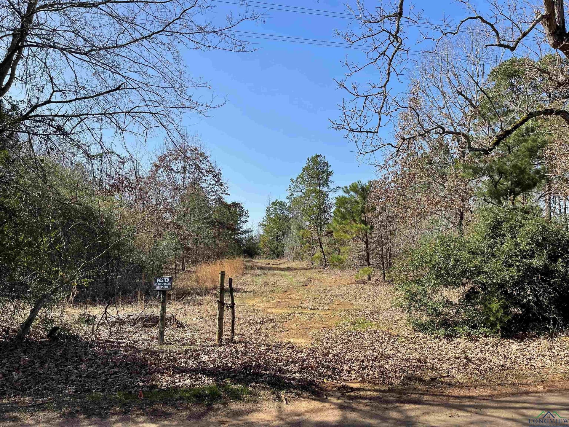 Tbd Zinnia Road