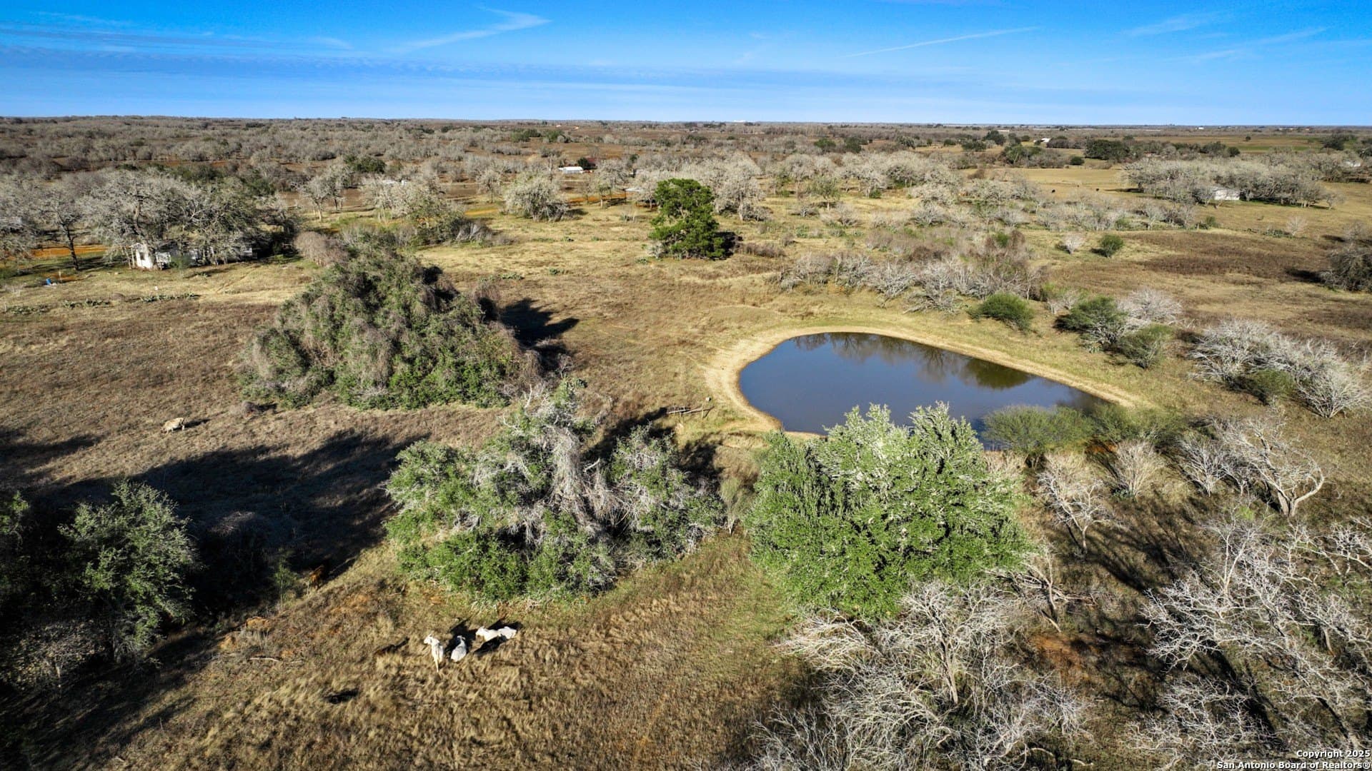 50+/- ACRES FM 1681