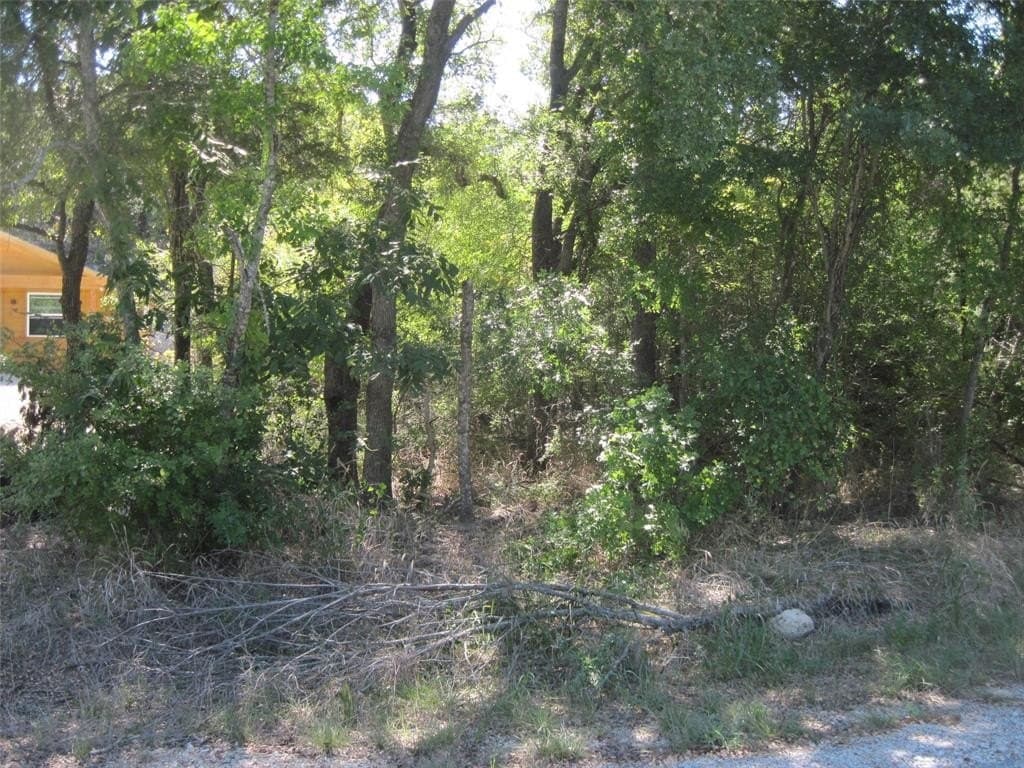 1119 Boot Trail Court
