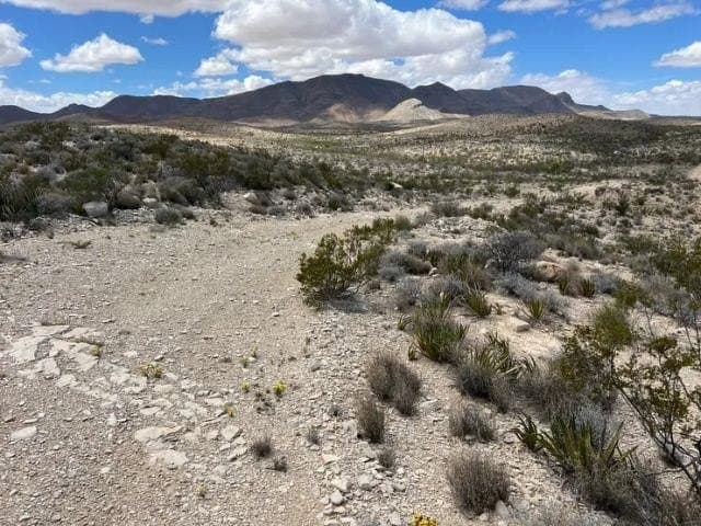 21231 Slate Springs