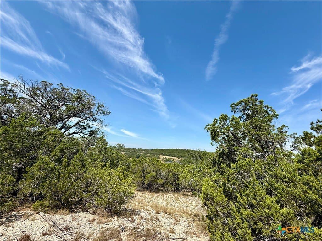 640 Crossman lot: 202