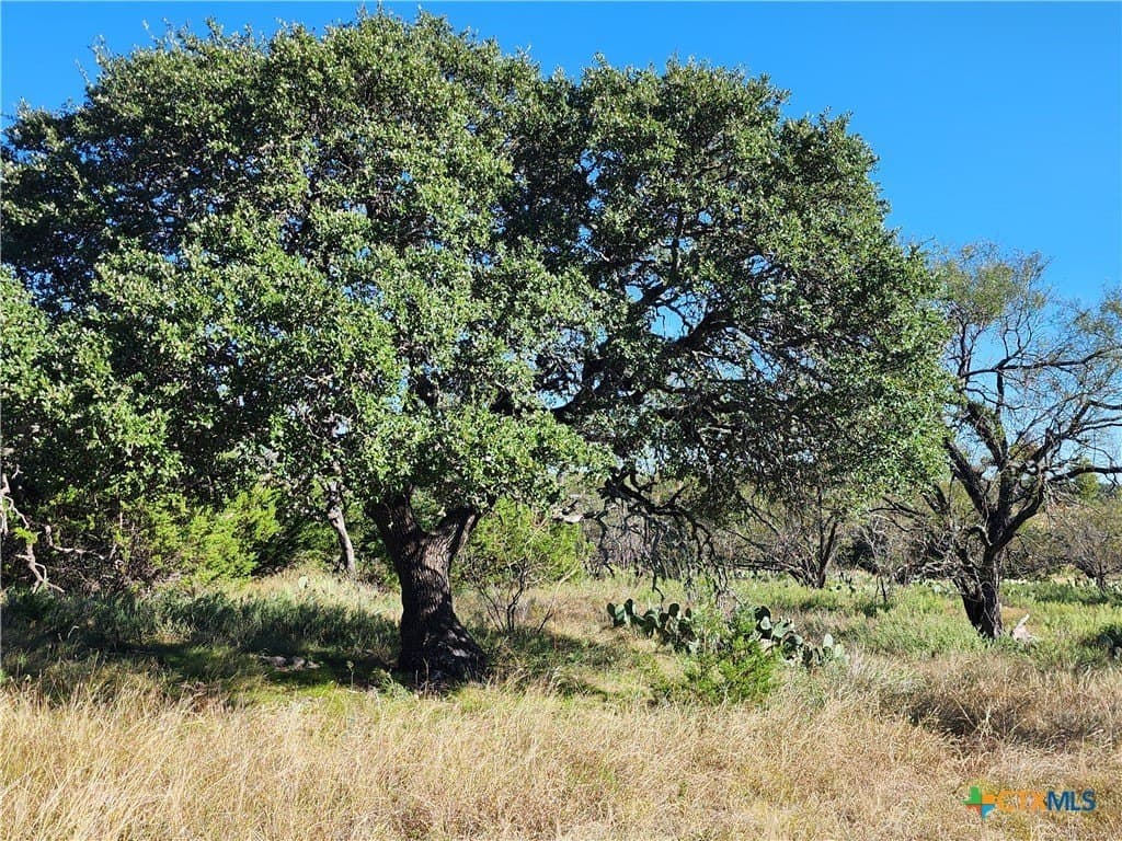 Shin Oak Drive lot: 73