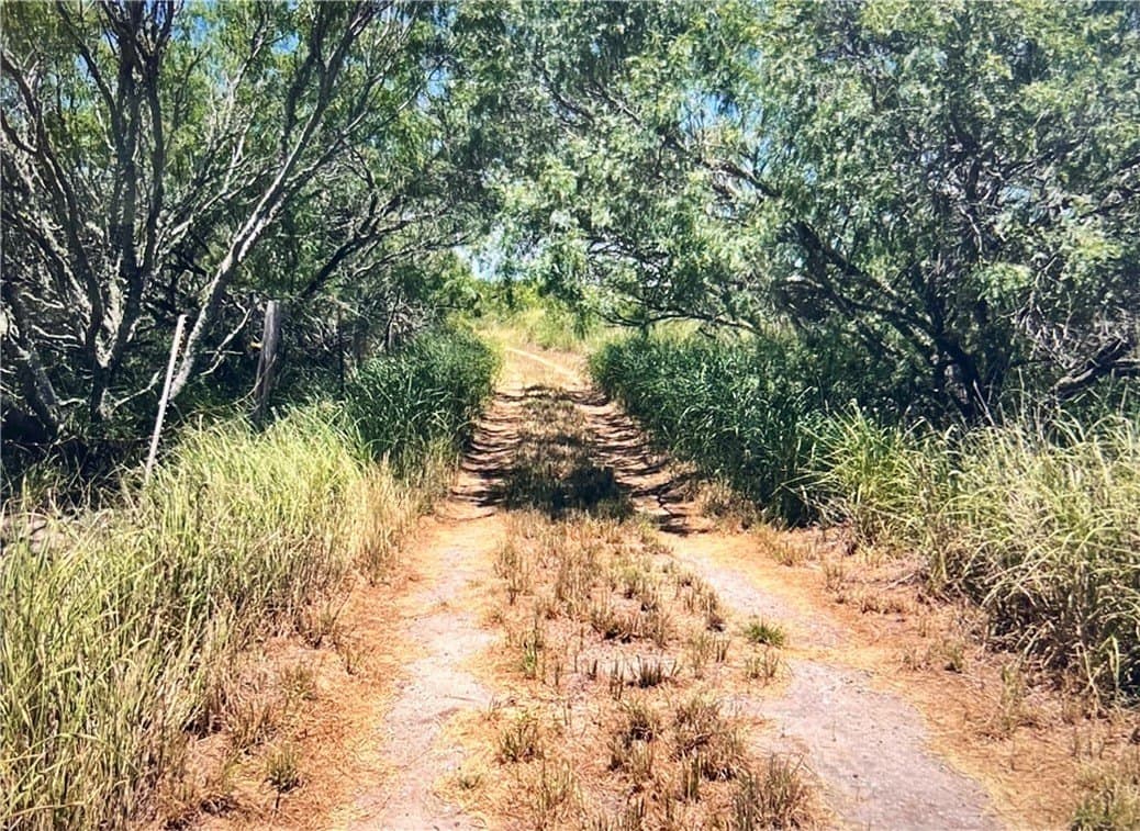 FM 3354 /Cr-12 lot: 0