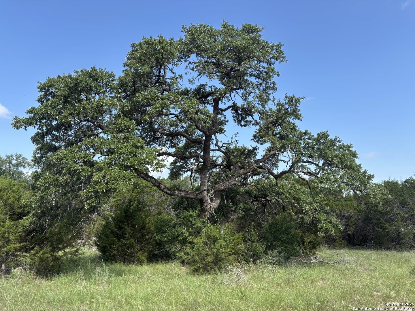 1483 Trailhead