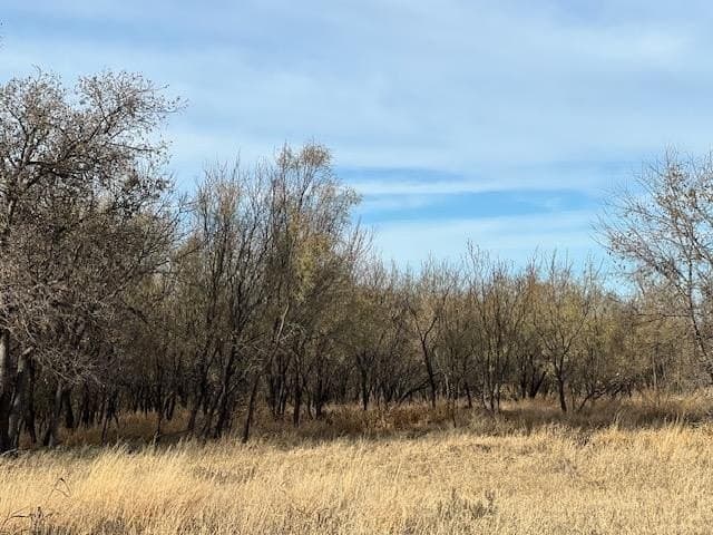 County Rd 4156