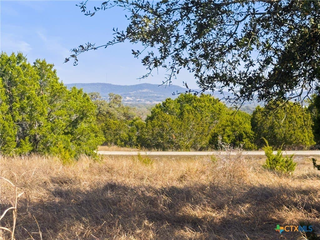 1046 Buckskin Trail lot: 490