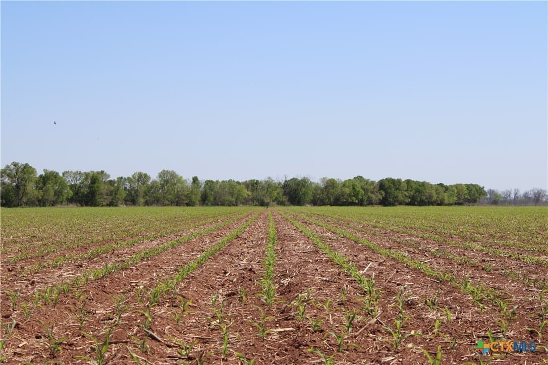County Road 301