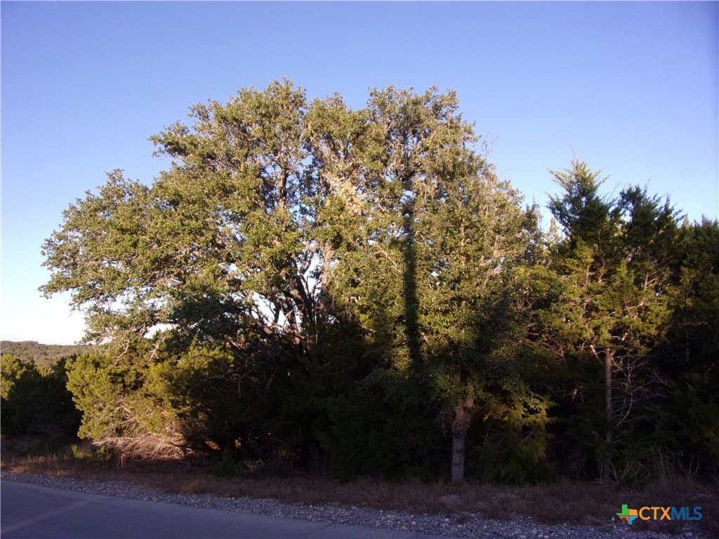 361/395 Mountain Wood lot: 54/55