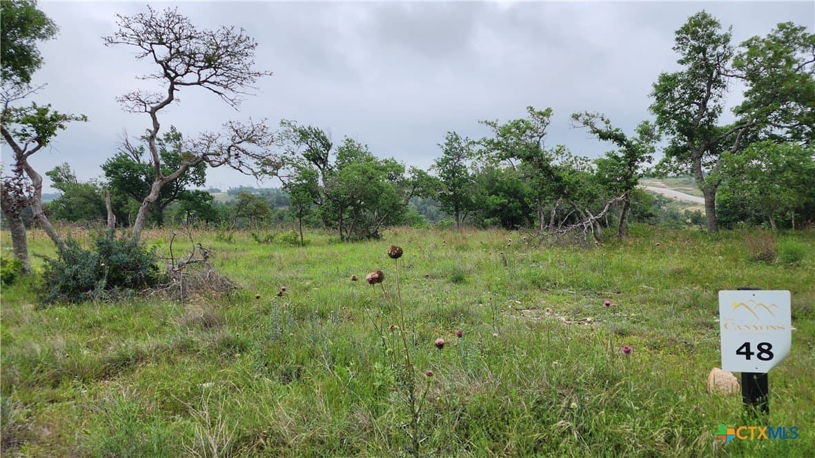 Ridgeline Road lot: 48