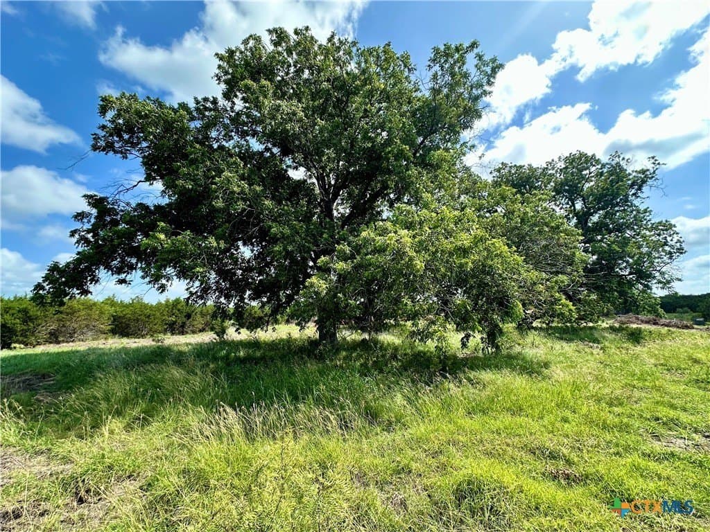 Tbd County Road 1255