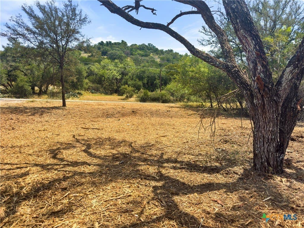 238 Sandy Mountain Drive lot: 440