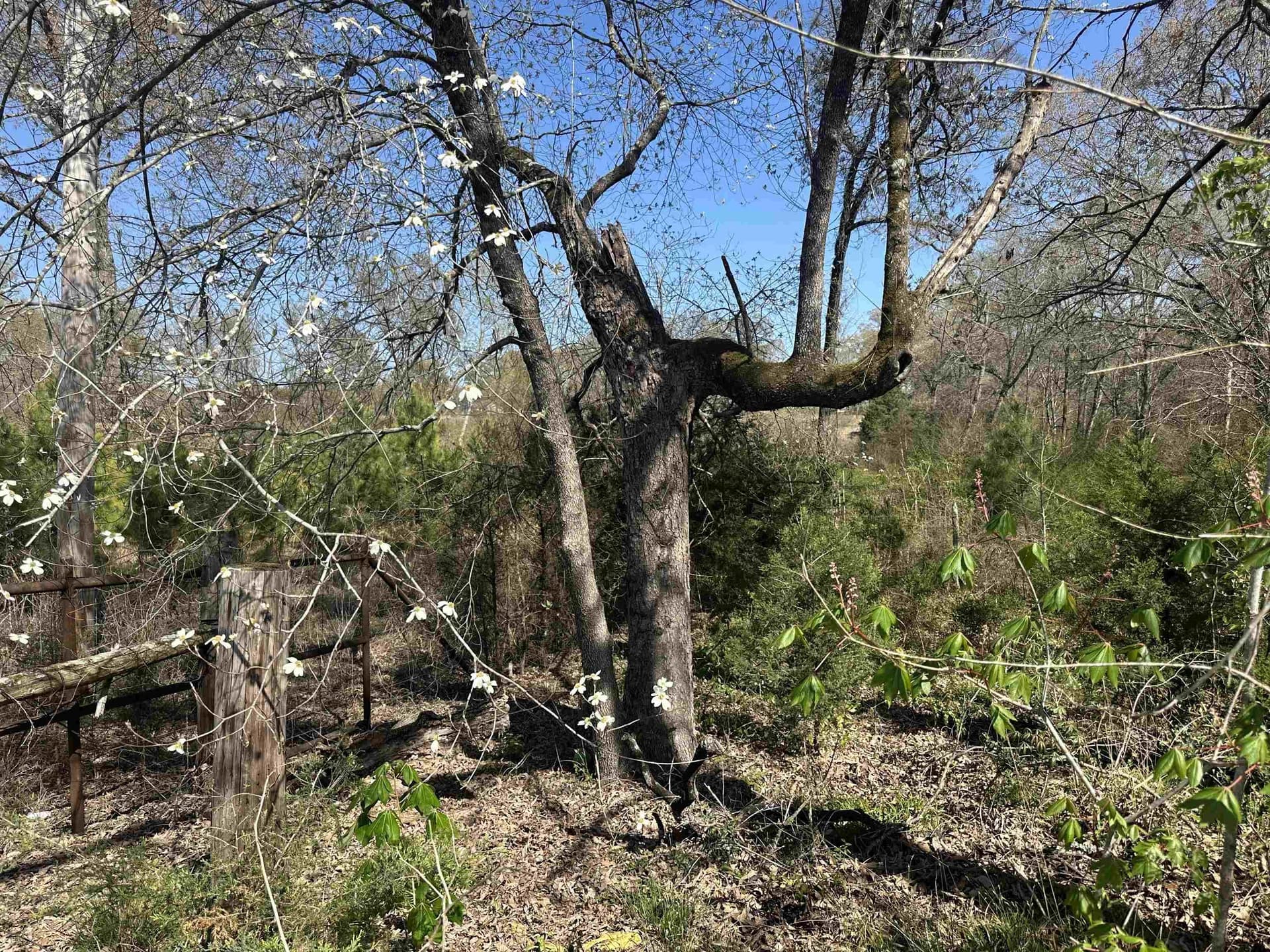 834 County Road 1225