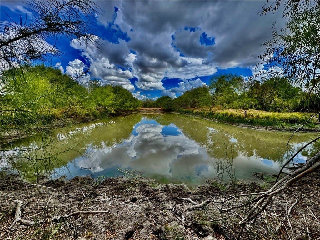 2949 County Road 215 (22.81 ACRES)