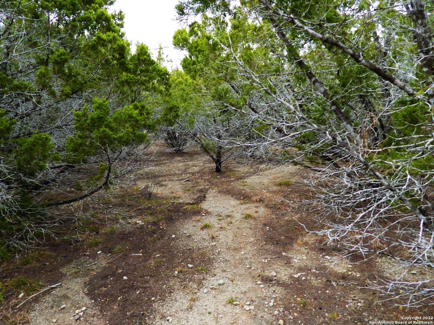 Scenic Crest lot: 73