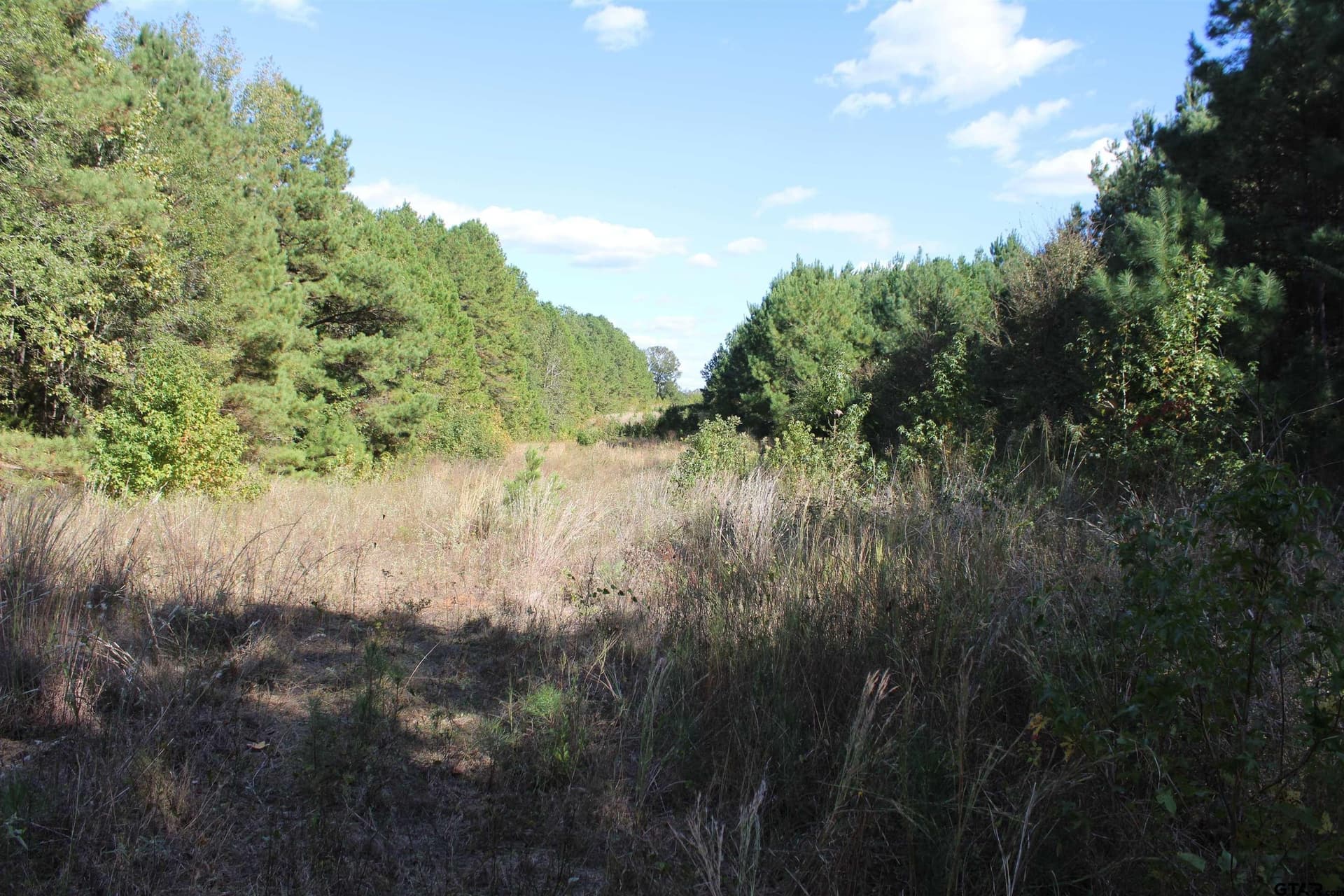 TBD CR 1508 - 37.4 acres