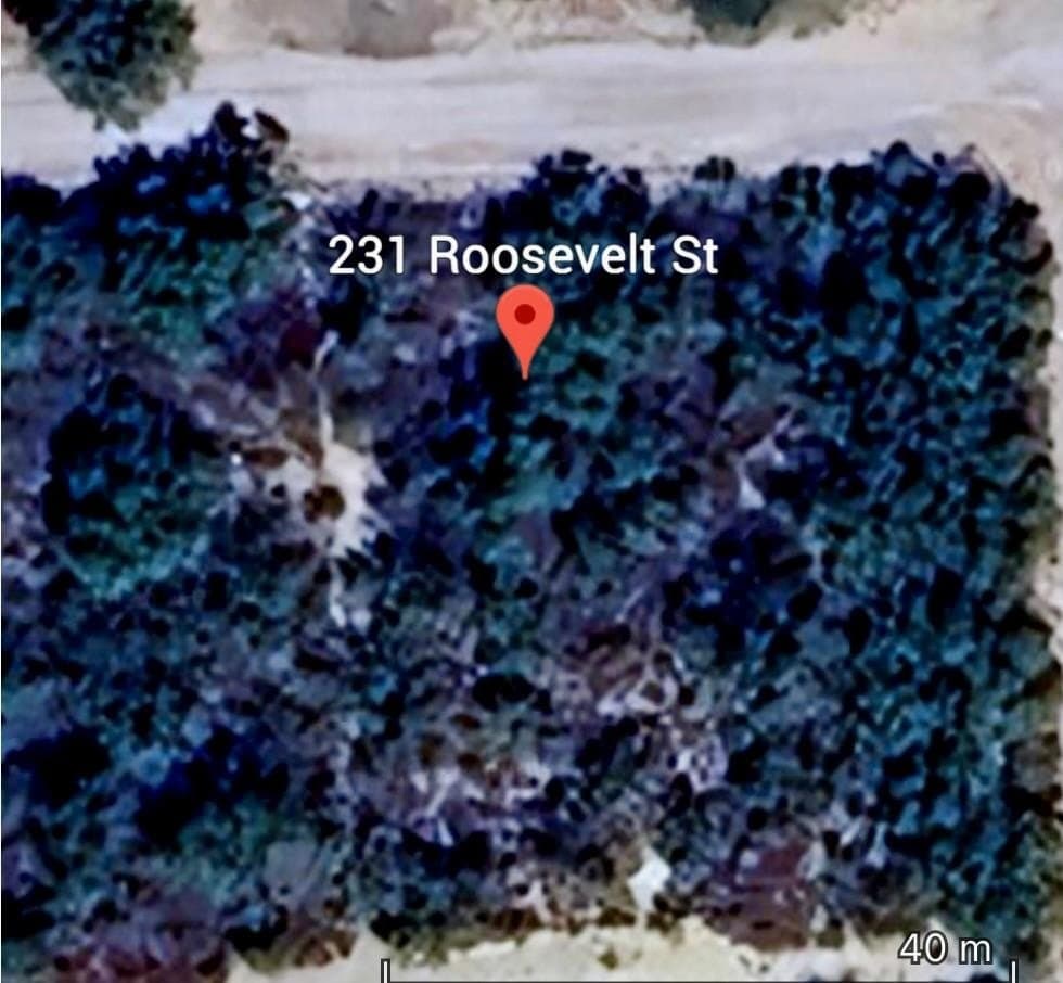 231 Roosevelt St.
