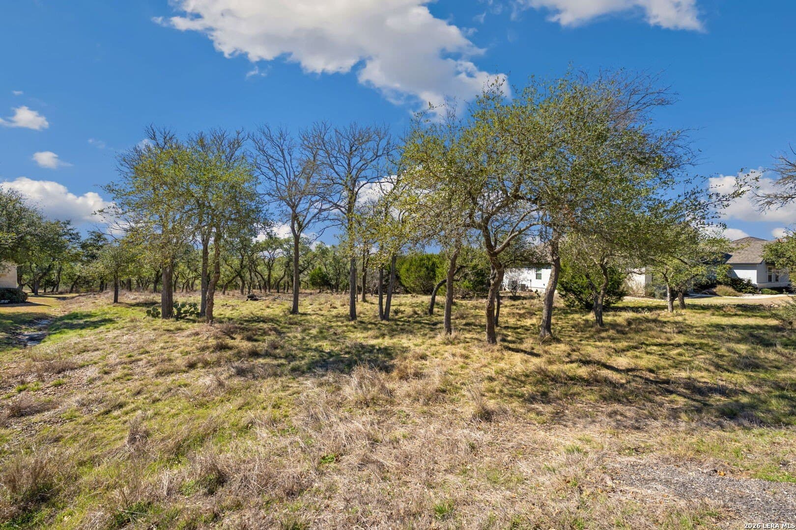 913 Cross Oak