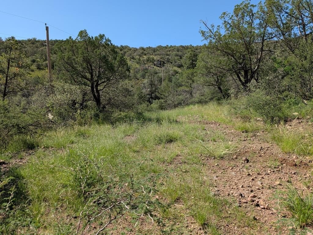 312 Cochise Canyon