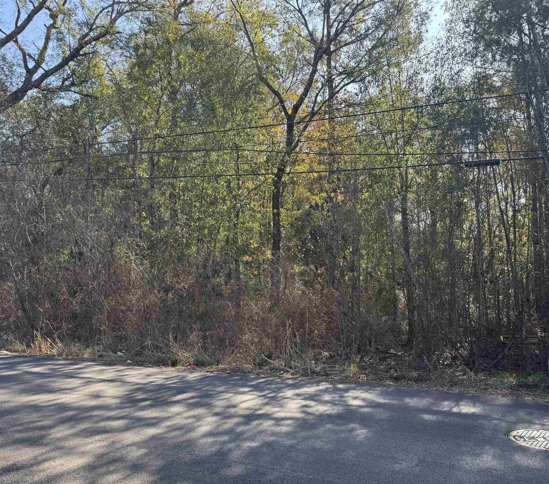 Tbd Webster Dr