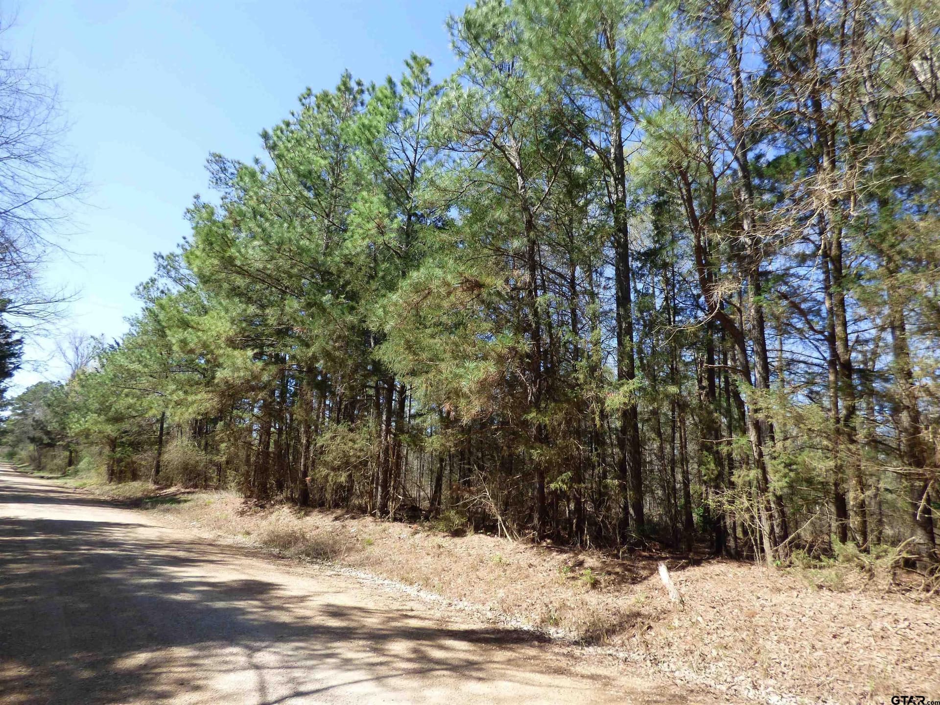 TBD County Road 3302