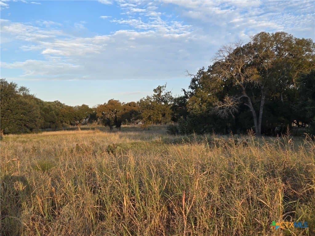 317 Yellowstone Drive lot: 91