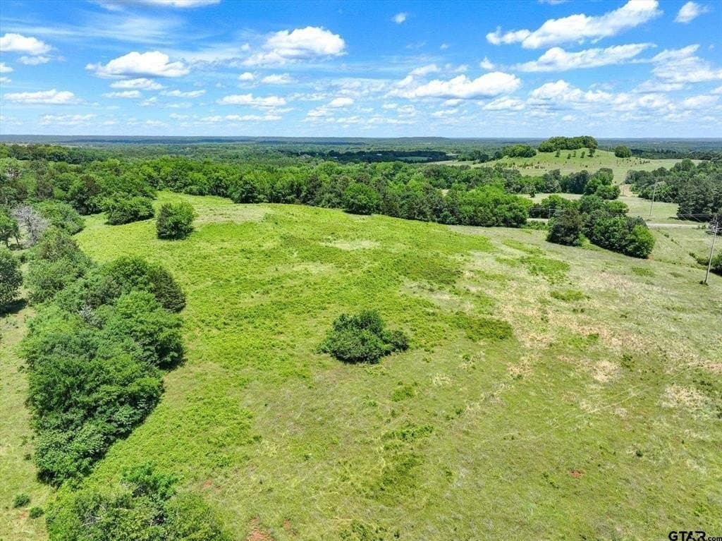 Tbd County Road 2493