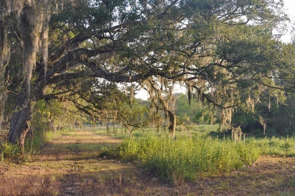 4261 County Road 506
