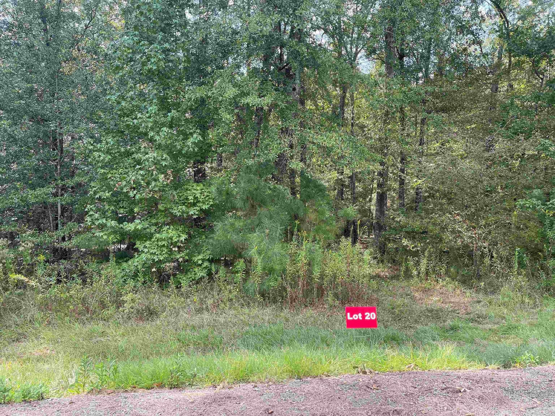 Tbd Lot 20 CR 2204 D & FM 1797