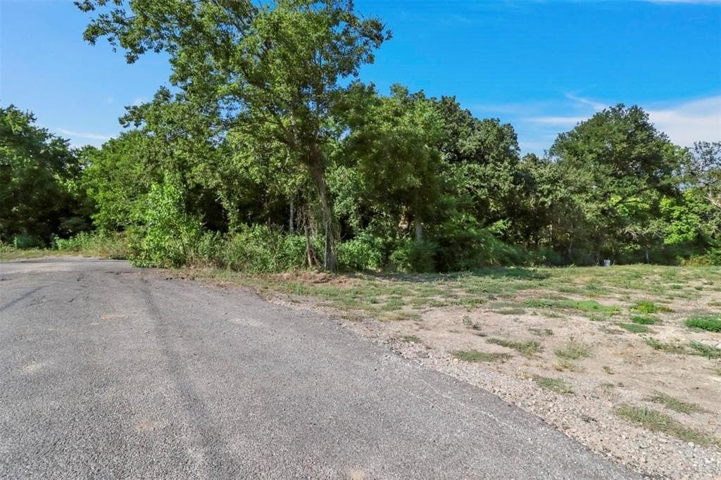 Tbd S Branch Street