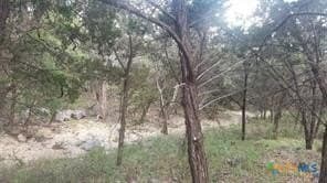 603 Copper Trace lot: 133
