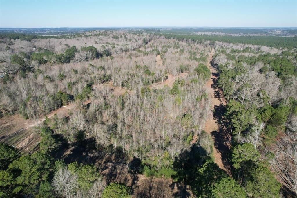 Tbd County Road 4919