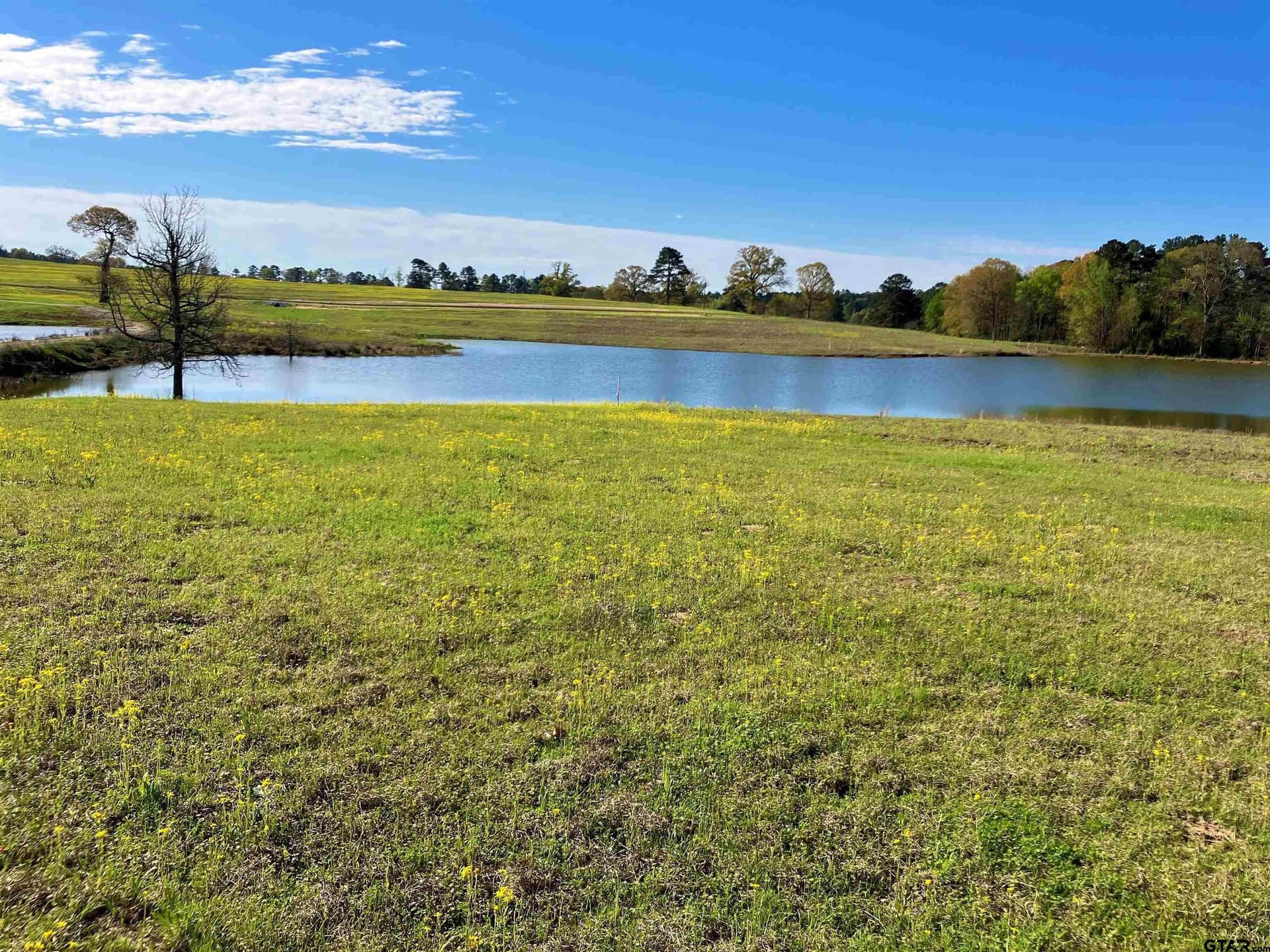 Lot 49 White Oak Creek Ranch