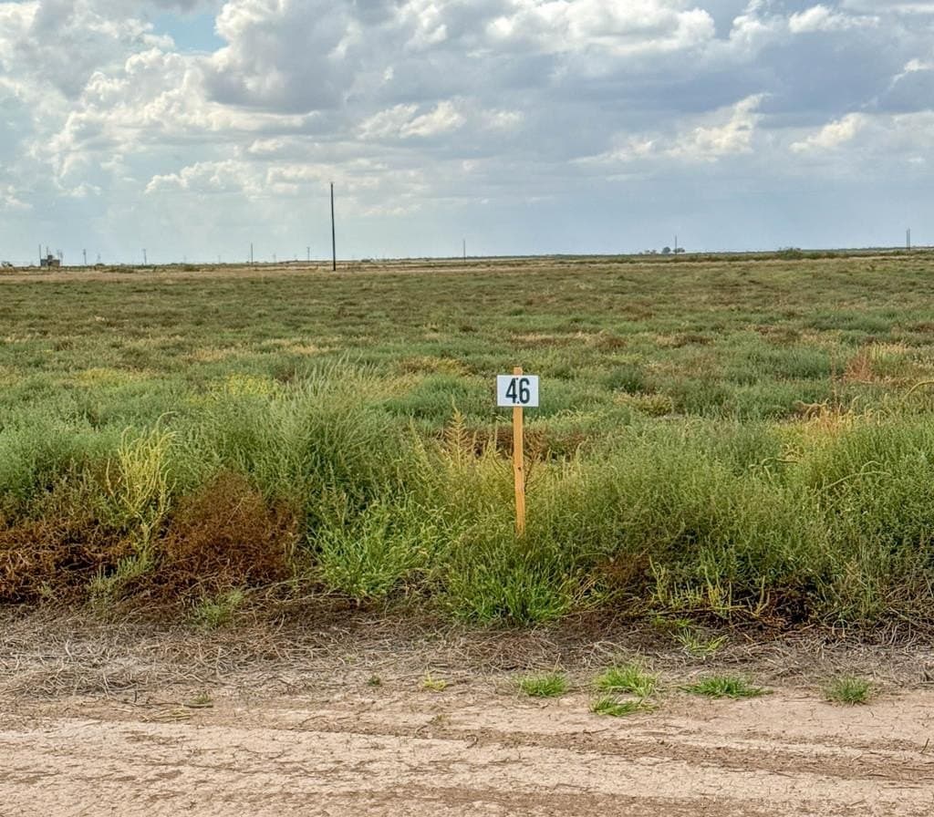 BLUE QUAIL RUN LOT 46