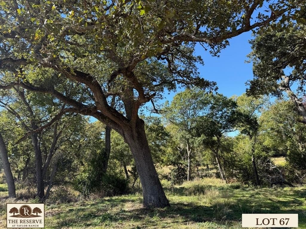 Lot 67 Camden Lane