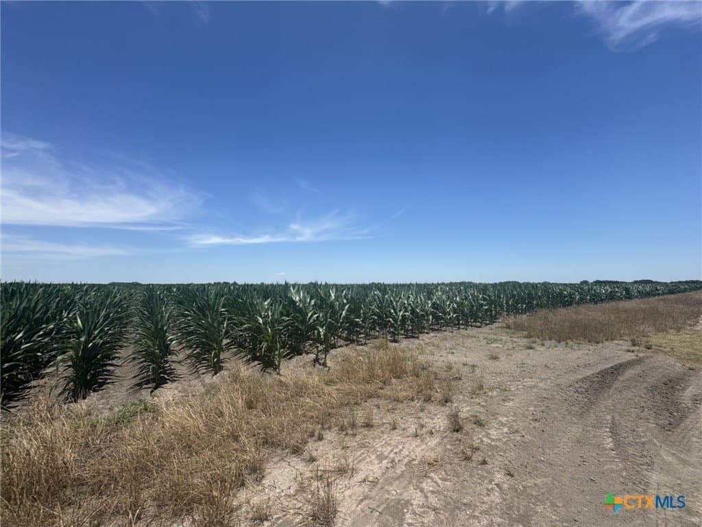 CR 335 Road