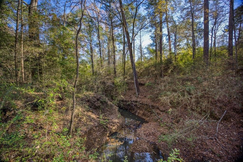 595 An County Road 1773