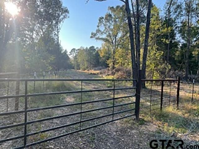 CR 426, Willow Branch Road