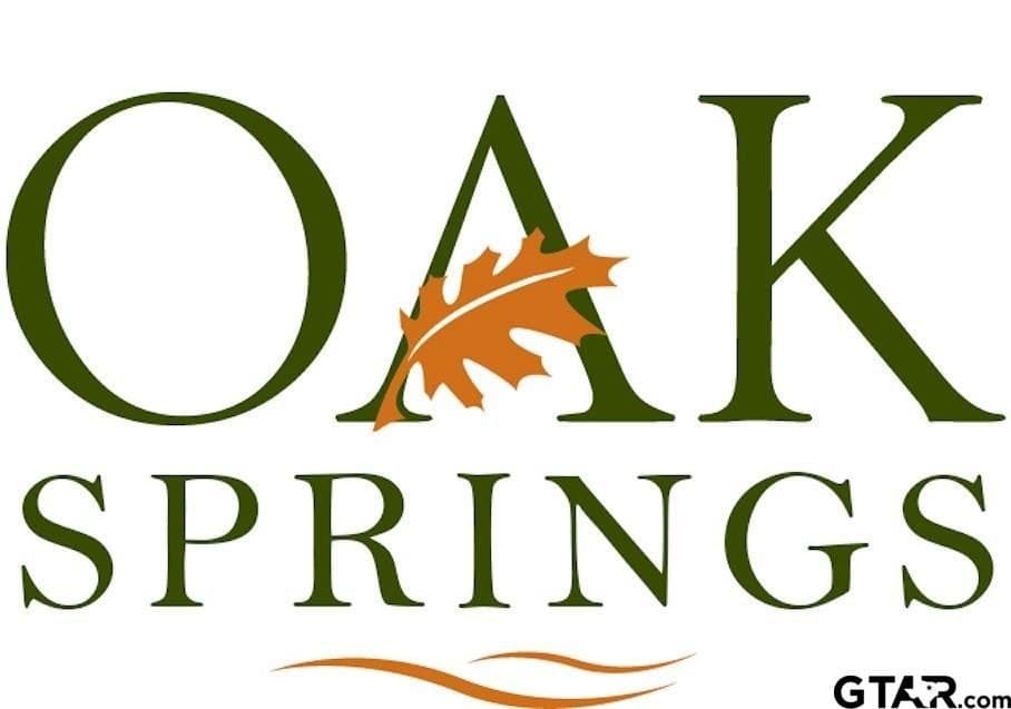 15137 Tilley Springs Lot 29