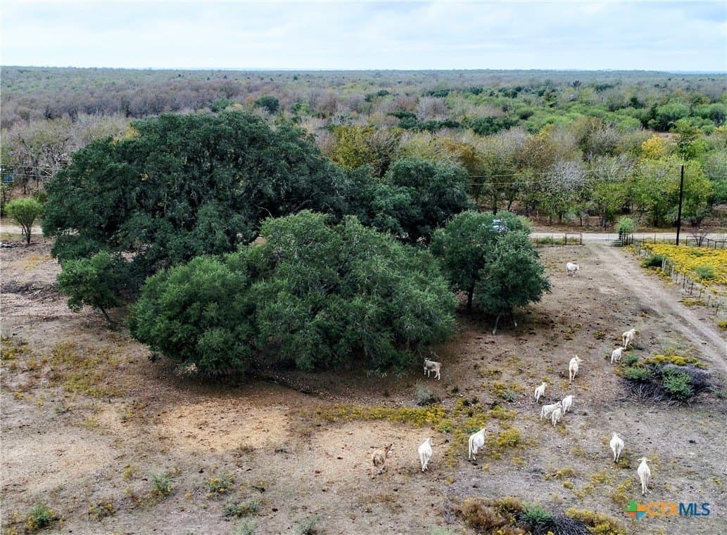 387 Black Watch Lane lot: 6