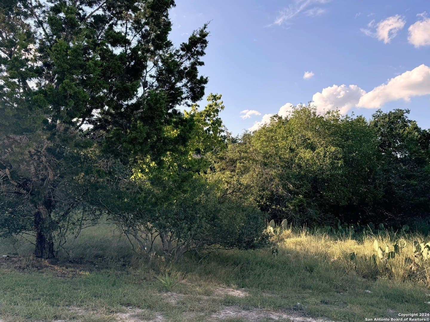 Rocky Point Drive lot: 10